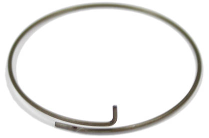 Campagnolo Freehub Spring