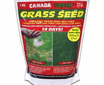 Canada Green Grass Seed 1KG. Coverage upto 47 Sq Metres