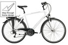 Cannondale Street 4 Womenand#39;s 2008 Hybrid Bike