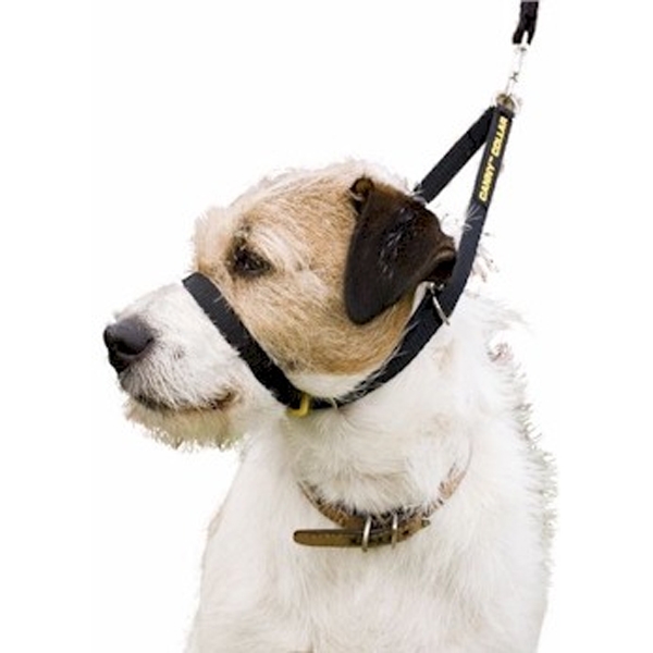 CannyDogCompany Canny Dog Collar Stops Pulling Black Size 1