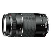 Canon EF - Telephoto zoom lens - 75 mm - 300 mm