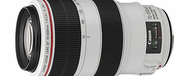 Canon EF 70-300 f/4-5.6L IS USM Lens