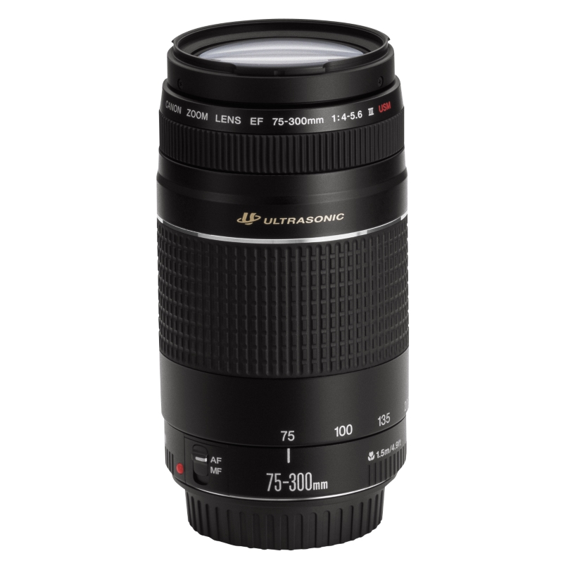 Canon EF 75-300mm USM Lens
