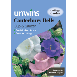 Canterbury Bells Cup and Saucer Mixed Seeds