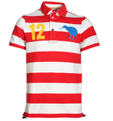 Canterbury of NZ Canterbury Waikato Dark Red Stripe Polo Shirt