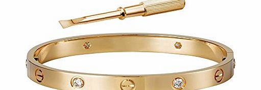 Caperci Designer Inspired CZ Crystal Screw Driver Bangle Bracelet in Stainless Steel Silver 19CM