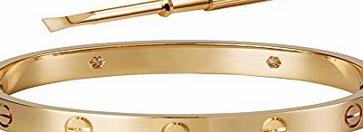 Caperci Designer Inspired Screw Driver Bangle Bracelet in Stainless Steel Rose Gold 16CM
