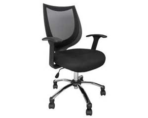 Capricorn executive mesh chair