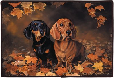 Car Exotic Sports Cars 2006 Calendar