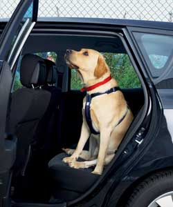 Travel Harness - Large