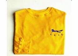 Carlisle Toffs Carlisle United 1960s Away