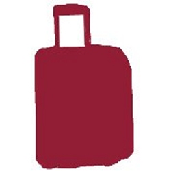 Carlton 50cmTrolley case