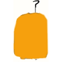 Carlton 52cmTrolley case