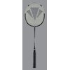 CARLTON Powerblade 2000 Badminton Racket (112557)