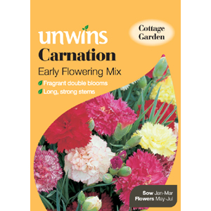 Carnation Early Flowering Mixed Seeds