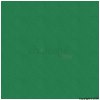 Green Paper Napkins Pack of 20