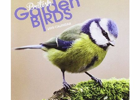 Carousel Calendars British Garden Birds Mini (Mini Wirestitched)