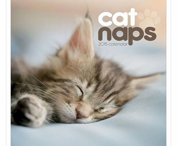 Carousel Calendars Cat Naps Easel: Desk Calendar