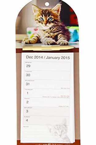 Carousel Calendars Cats amp; Kittens Wtv Magnetic