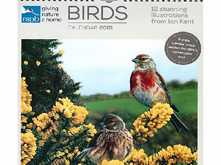 Carousel Calendars RSPB Calendar Bird Calendar 2015 Illustrated by Ian Kent Limited Edition 100 signed by Ian Kent
