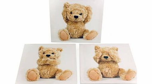 Carousel Home Set With 3 20X20 Teddy Bear Canvas