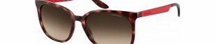 Carrera Ladies Tortoiseshell Carrera 5004 DVQ CC