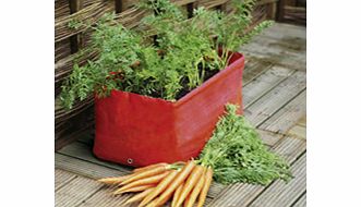 carrot Patio Planters plus FREE Seed
