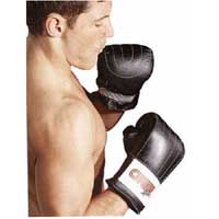 Boxing Mitts Large