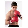 CARTA SPORT P.U Boxing Gloves (Red/Black)