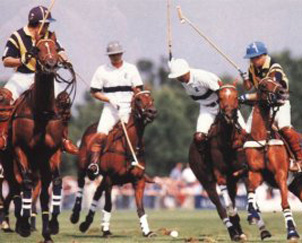 Cartier International Polo