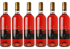 casa Rivas Rose 6-bottle case