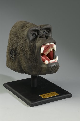 PegSculpture 570 Gorilla Reconstruction Kit