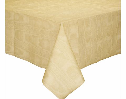 Caspari Disposable Tablecloth