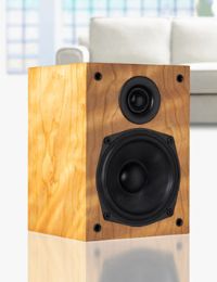 Compact Satellite Speakers Walnut