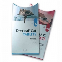 Cat Bayer Drontal Cat Worming Tablet Single Standard