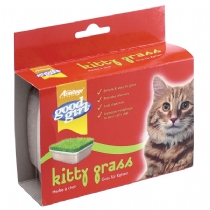 Cat Good Girl Kitty Grass Single