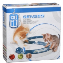 CAT It Senses Play Circuit Single