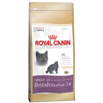 Cat Royal Canin Feline Breed British Shorthair 34 2Kg