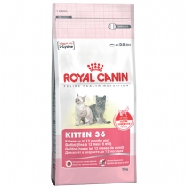 Cat Royal Canin Feline Health Nutrition Kitten 36 10Kg