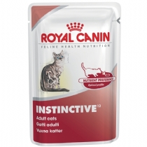 Cat Royal Canin Feline Wet Nutrition Pouches Adult