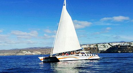 Catamaran Afrikat