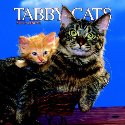 Tabby Cats 2006 Calendar
