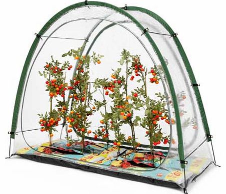 Culti Cave Modular Greenhouse System