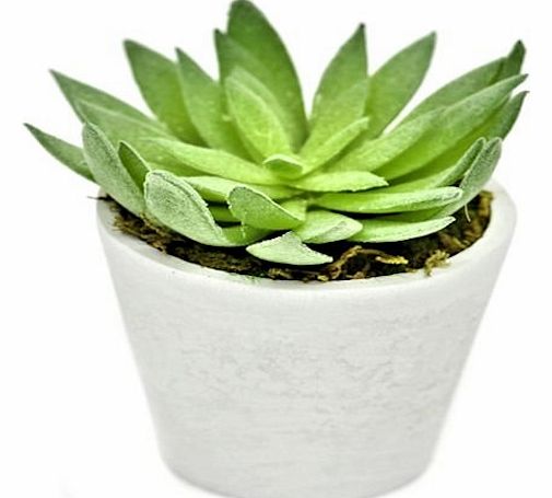 CBI Artificial Potted 10cm Spiky Leaf Succulent House Plant