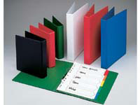 CEB CE A4 green pvc 2 `o` ring binder with 25mm