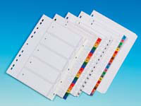 CEB CE A4 white indices, printed 1 to 12, SET