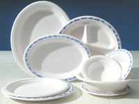 CEB Chinet disposable 9.75 inch white paper plate