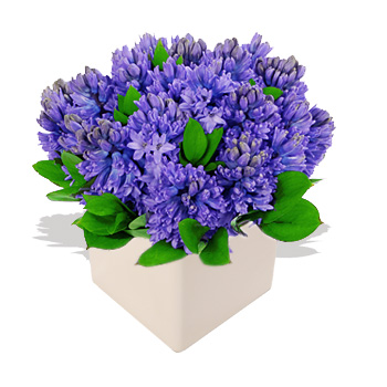 blue flowers images. Celebration In Blue - flowers