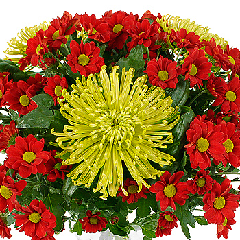 Flowers Delivered on Link To This Page More Celtic Flowers And Flower Delivery