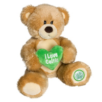 celtic I Love Celtic bear.